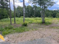 06-12 Benerin CRT  Lincoln, NB E3B 0J6