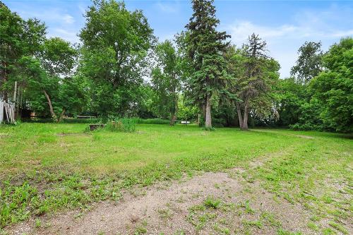 Back yard - 6 Deer Ridge Road, Brandon, MB 