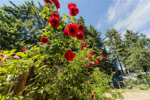 2925 Marshall Rd, Qualicum Beach, BC 