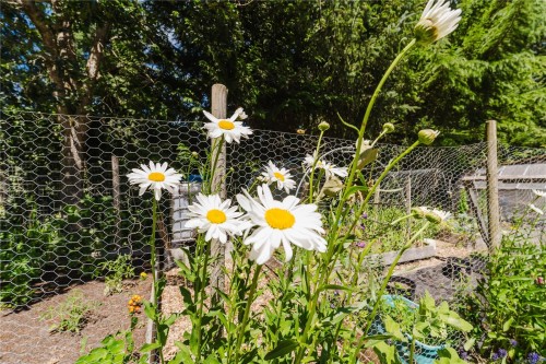 2925 Marshall Rd, Qualicum Beach, BC 