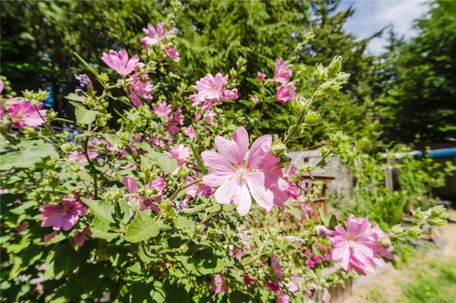 2925 Marshall Rd, Qualicum Beach, BC 