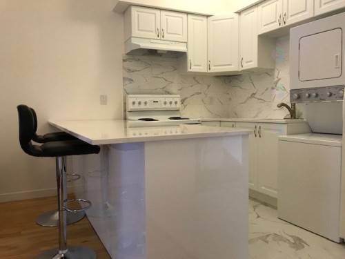 Kitchen - 87 Rue Milton, Montréal (Le Plateau-Mont-Royal), QC - Indoor Photo Showing Laundry Room