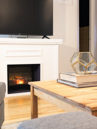 Living Room - 87 Rue Milton, Montréal (Le Plateau-Mont-Royal), QC - Indoor With Fireplace