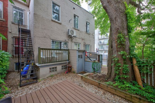 Courtyard - 87 Rue Milton, Montréal (Le Plateau-Mont-Royal), QC - Outdoor With Exterior