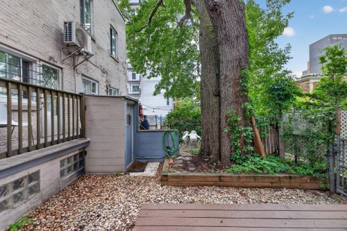 Courtyard - 87 Rue Milton, Montréal (Le Plateau-Mont-Royal), QC - Outdoor