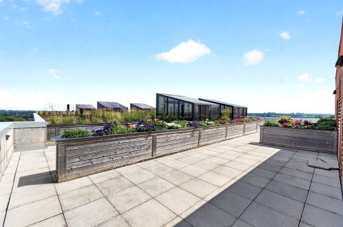 Terrasse - 410-175 Av. Metcalfe, Westmount, QC - Outdoor