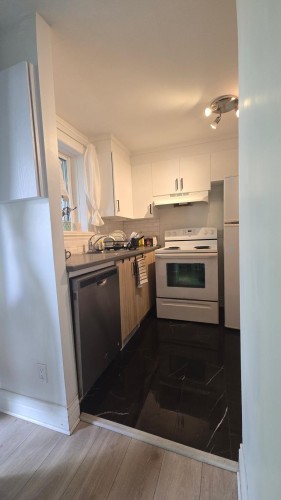Kitchen - 203-203 Rue Lafleur, Montréal (Verdun/Île-Des-Soeurs), QC 