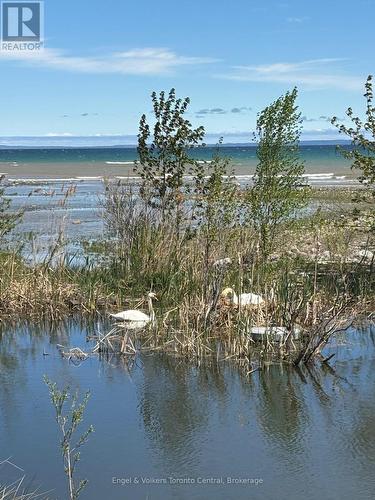 42 Silver Crescent, Collingwood, ON - Outdoor With Body Of Water With View