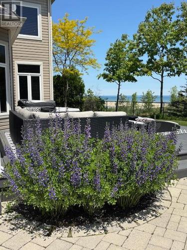 42 Silver Crescent, Collingwood, ON - Outdoor