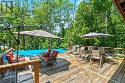 Backyard oasis - 