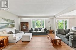 Large living room windows - 