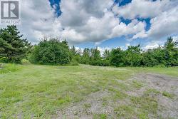 Pasture - 