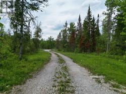 3248 MONCK ROAD Kawartha Lakes, ON K0M 2T0
