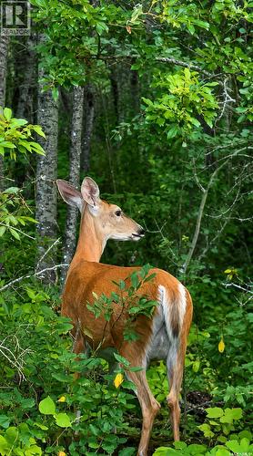 Turtle Lake Evergreen Acres, Turtle Lake, SK 