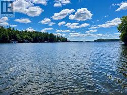 10 - 1211 FOREMAN ROAD S  Muskoka Lakes (Medora), ON P0B 1J0