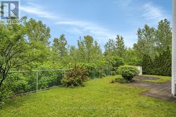 Backyard - 