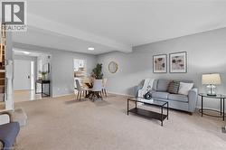 Open-concept living space featuring light gray walls and plush neutral carpeting - 