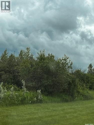 Bassingthwaite Acreage, Asquith, SK 