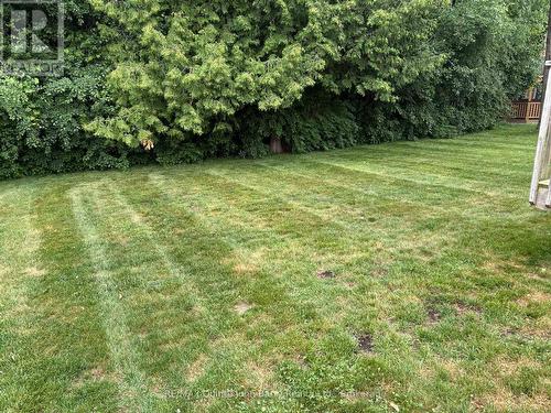 4 Algonquin Avenue, Brighton, ON 