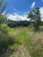 Dead end road at north side of Treesbank ferry crossing - 