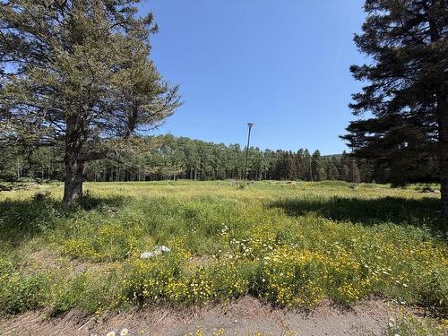 1331 Mountain Road, Thunder Bay, ON 
