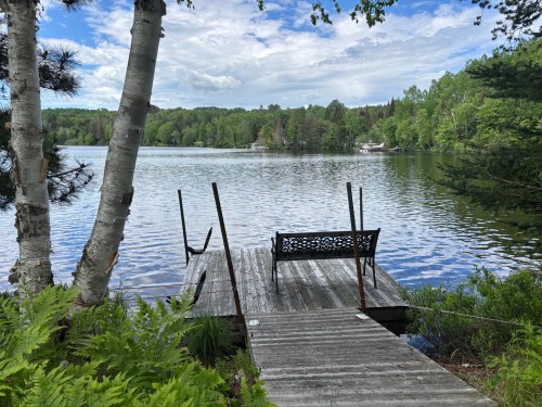 Waterfront - 150 Ch. Papp, Rivière-Rouge, QC 