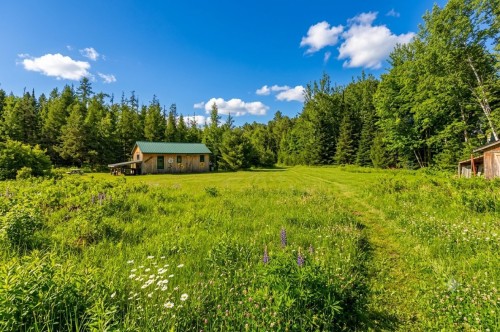 Lot - 150 Ch. Papp, Rivière-Rouge, QC 