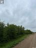 Riverview Road Acreage Lot, Rosthern Rm No. 403, SK 