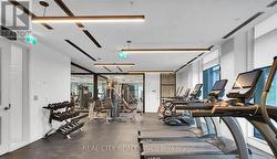 Gym - 