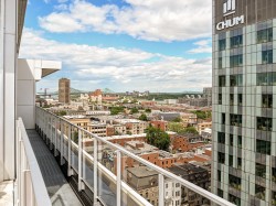 View - 