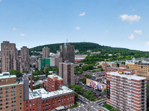 Aerial View - 89Z Rue Milton, Montréal (Le Plateau-Mont-Royal), QC - Outdoor