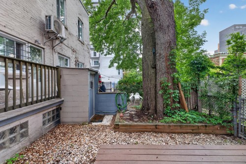 Courtyard - 89Z Rue Milton, Montréal (Le Plateau-Mont-Royal), QC - Outdoor