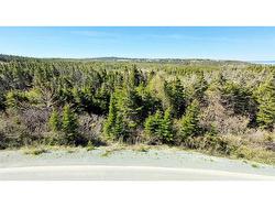 25 Witch Hazel Drive  Portugal Cove-St. Phillip's, NL A1M 3R5
