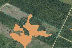Acreage Route 445 Legaceville RD  Fairisle, NB E9G 3B8