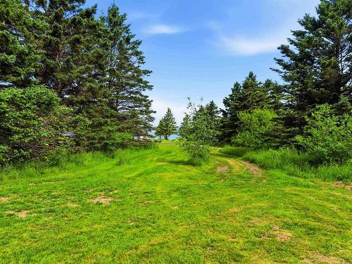 7939 Highway 101, Barton, NS 
