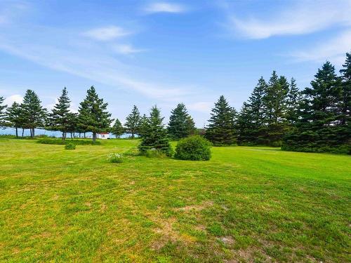 7939 Highway 101, Barton, NS 