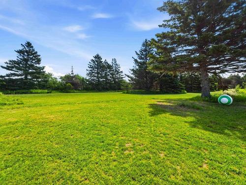 7939 Highway 101, Barton, NS 