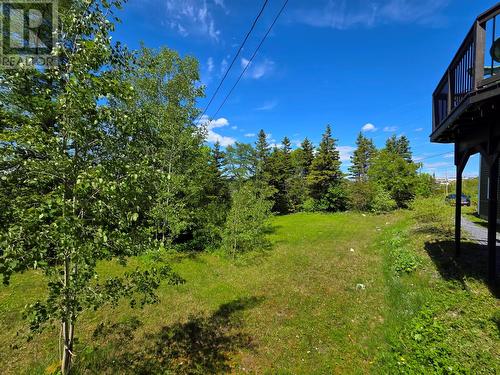 57 Macpherson Avenue, Corner Brook, NL 