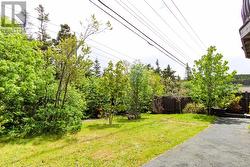 Beautiful green space. - 