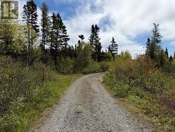 0 Main Street  Dog Bay, NL A0G 3R0