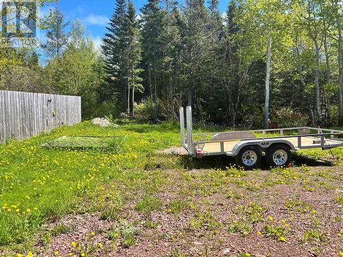 111 Main Street, Triton, NL 