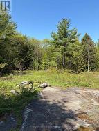 175 NORTH SANDY PLAINS ROAD Seguin, ON P2A 2W8