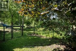 Fenced-in backyard - 