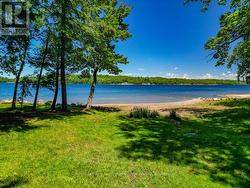 Clean Shoreline - 