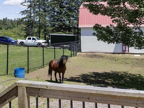 144 Smith Road, Nappan, NS 