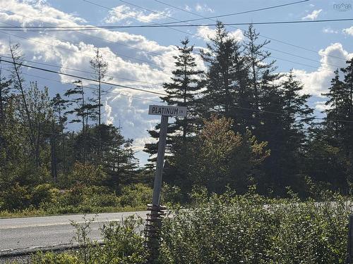 9 Platinum Lane, Popes Harbour, NS 