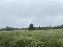 Wallie Mingo Road, Keeble, NS 
