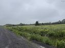 Wallie Mingo Road, Keeble, NS 