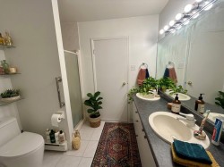 Salle de bains - 