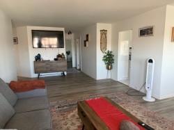 Salon - 